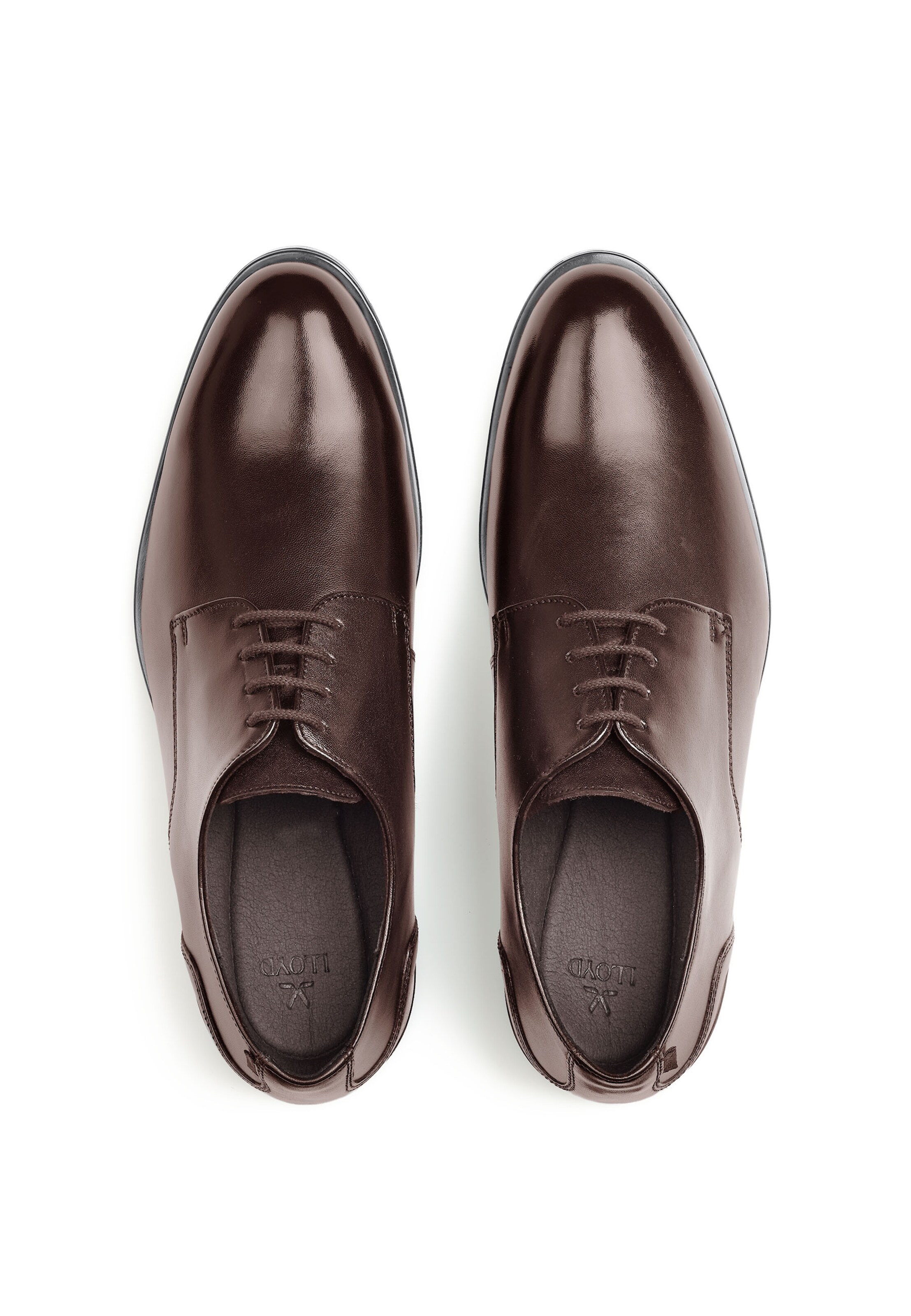 LLOYD Veterschoen in Bruin