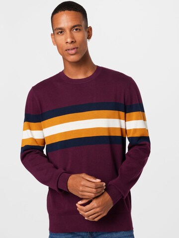 Pull-over GAP en violet : devant