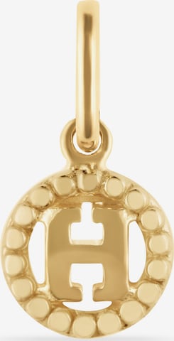 FAVS Anhänger in Gold: Vorderseite