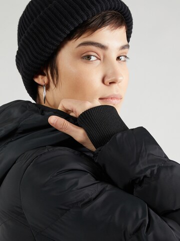 Cars Jeans Winter Jacket in Black