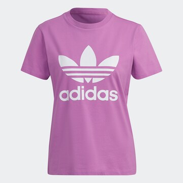 T-shirt 'Adicolor Classics Trefoil' ADIDAS ORIGINALS en violet