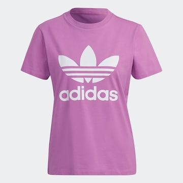 ADIDAS ORIGINALS Shirt 'Adicolor Classics Trefoil' in Purple