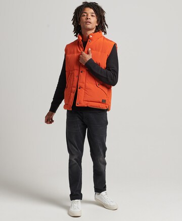 Superdry Bodywarmer 'Vintage Mountain' in Rood