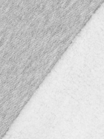 ENRAGE Sweatshirt 'RETRO SWAGAhood' in Grau