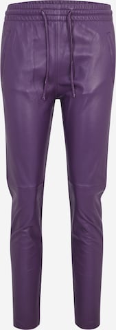 Pantaloni 'GIFT' di OAKWOOD in lilla: frontale