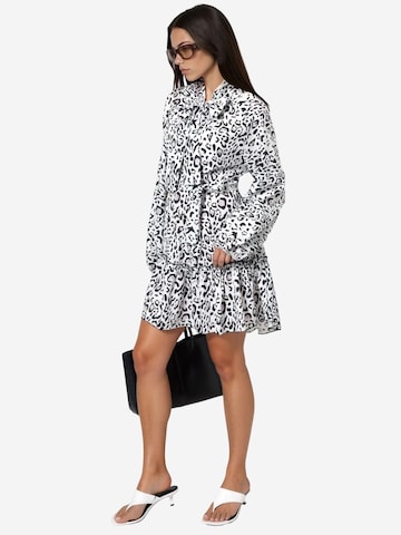 MSN Collection Obleka 'Mini' | rjava barva