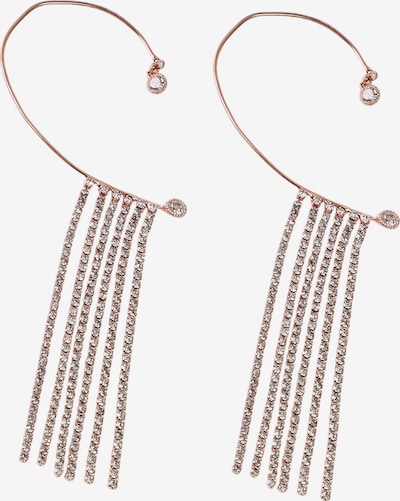 Auskarai iš SOHI, spalva – sidabrinė, Prekių apžvalga