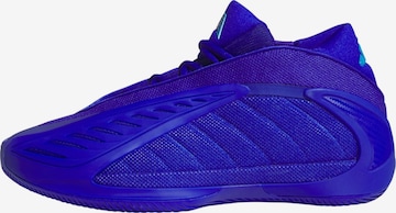 ADIDAS PERFORMANCE - Sapatilha de desporto 'Anthony Edwards' em azul: frente
