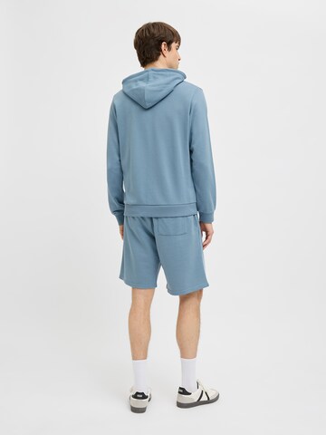 JJ Rebel Loose fit Trousers 'JREBCARLOS' in Blue