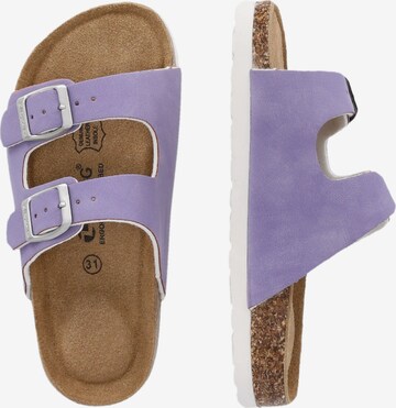 ZigZag Sandals 'Souza' in Purple