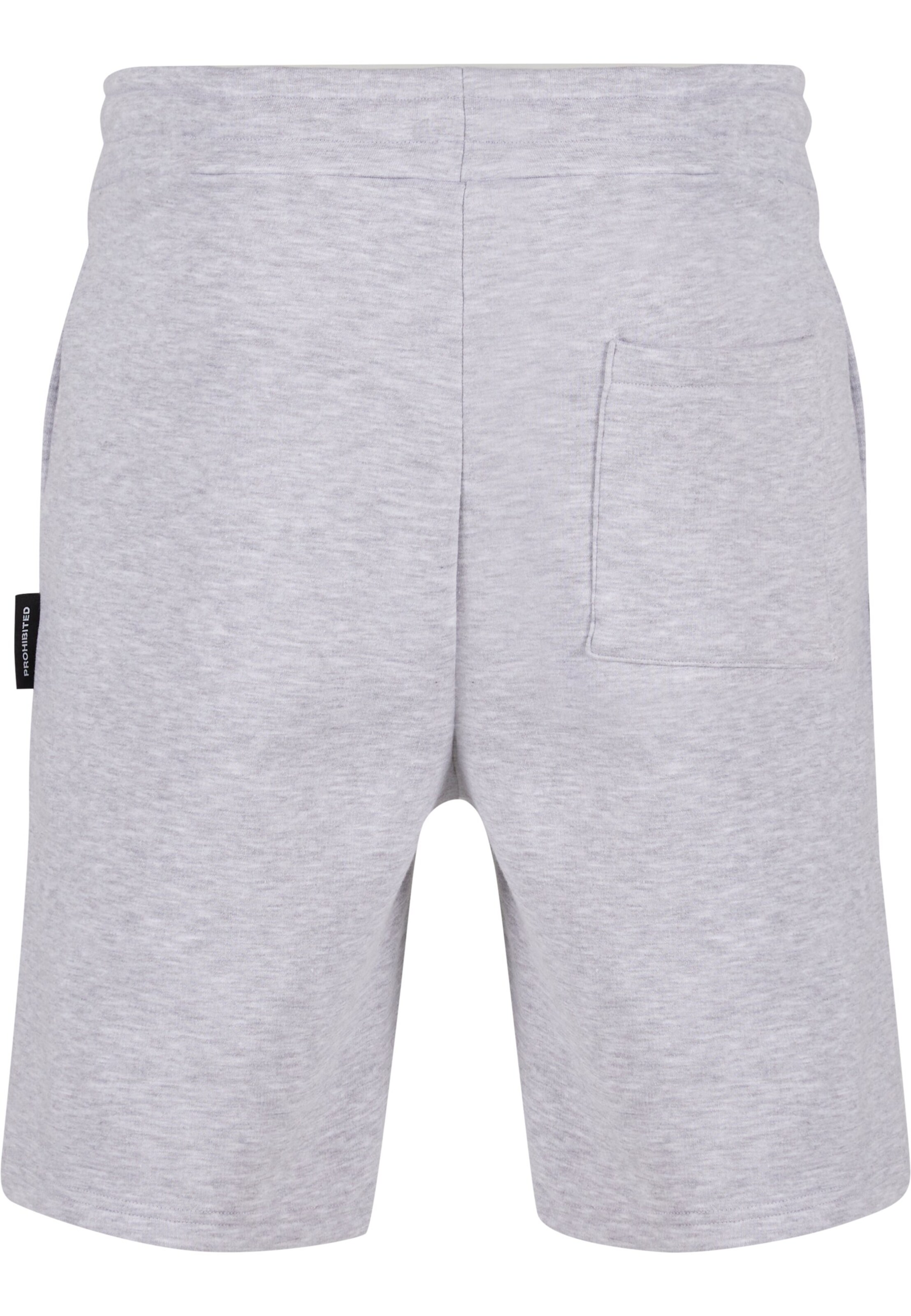 Prohibited Regular Hose in Grau