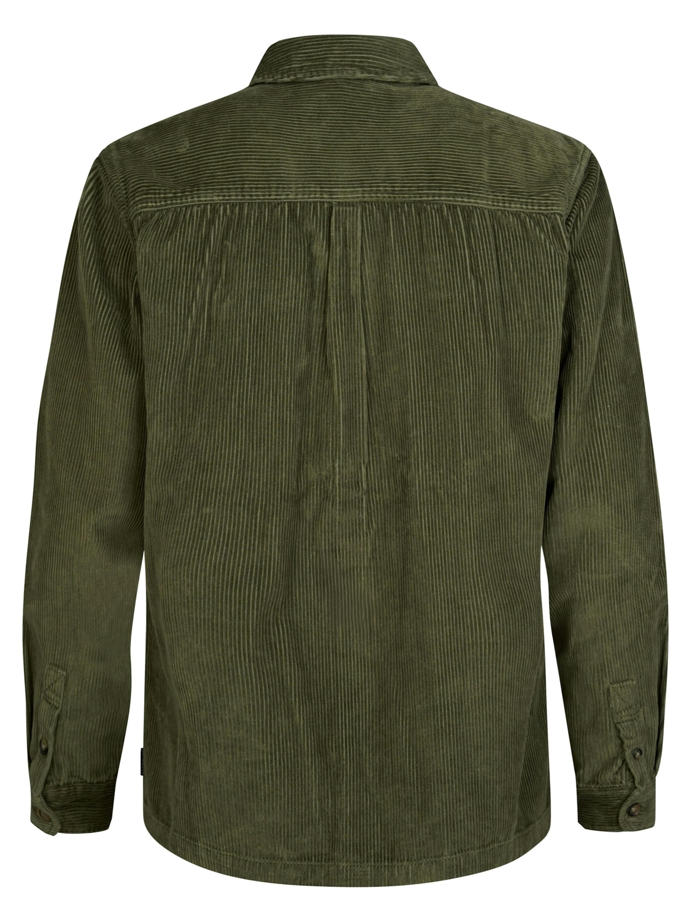 Petrol Industries Regular fit Button Up Shirt in Green