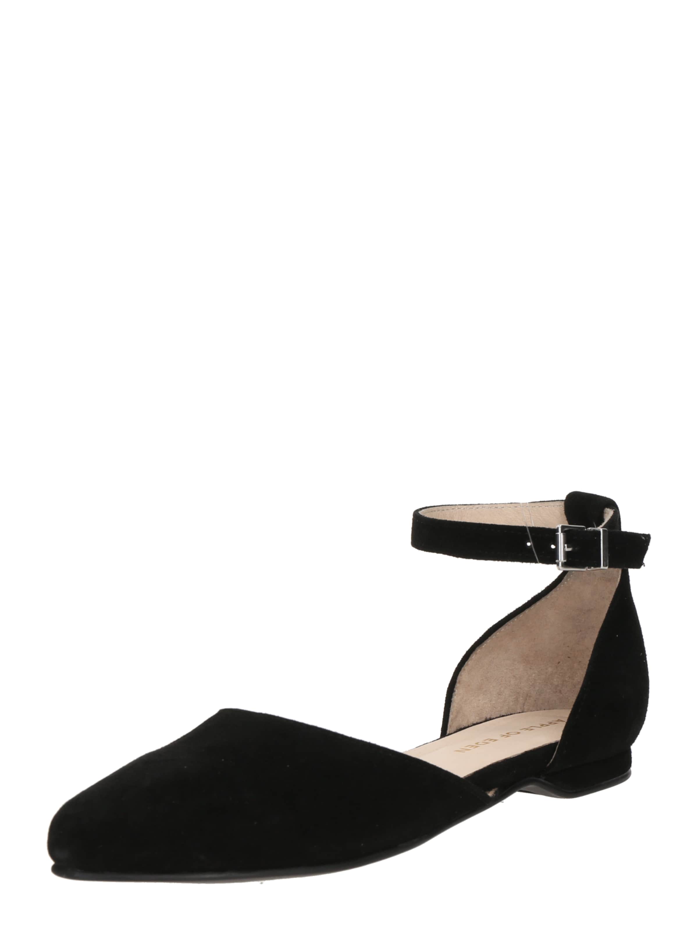 juoda Apple of Eden Balerinos 'Bruna': priekis