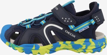 Chaussures ouvertes 'Borealis' GEOX en bleu