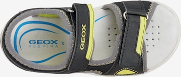 Chaussures ouvertes 'Pianeta' GEOX en noir