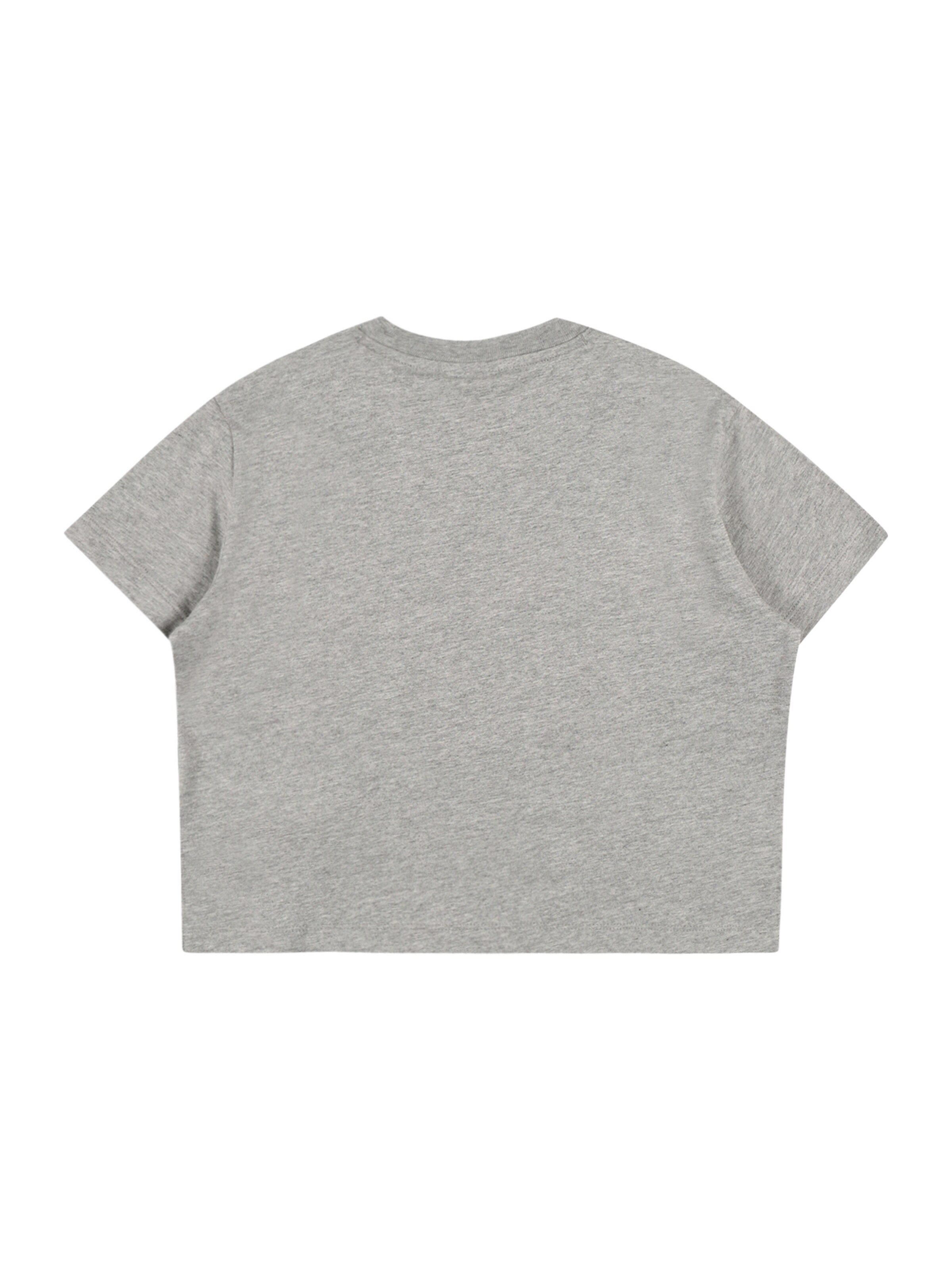 T-Shirt Champion Authentic Athletic Apparel en gris
