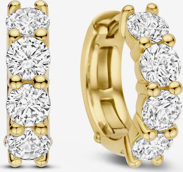 Ti Sento Milano Ohrringe in Gold: Vorderseite