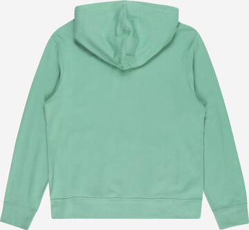 Polo Ralph Lauren Sweatshirt in Grün