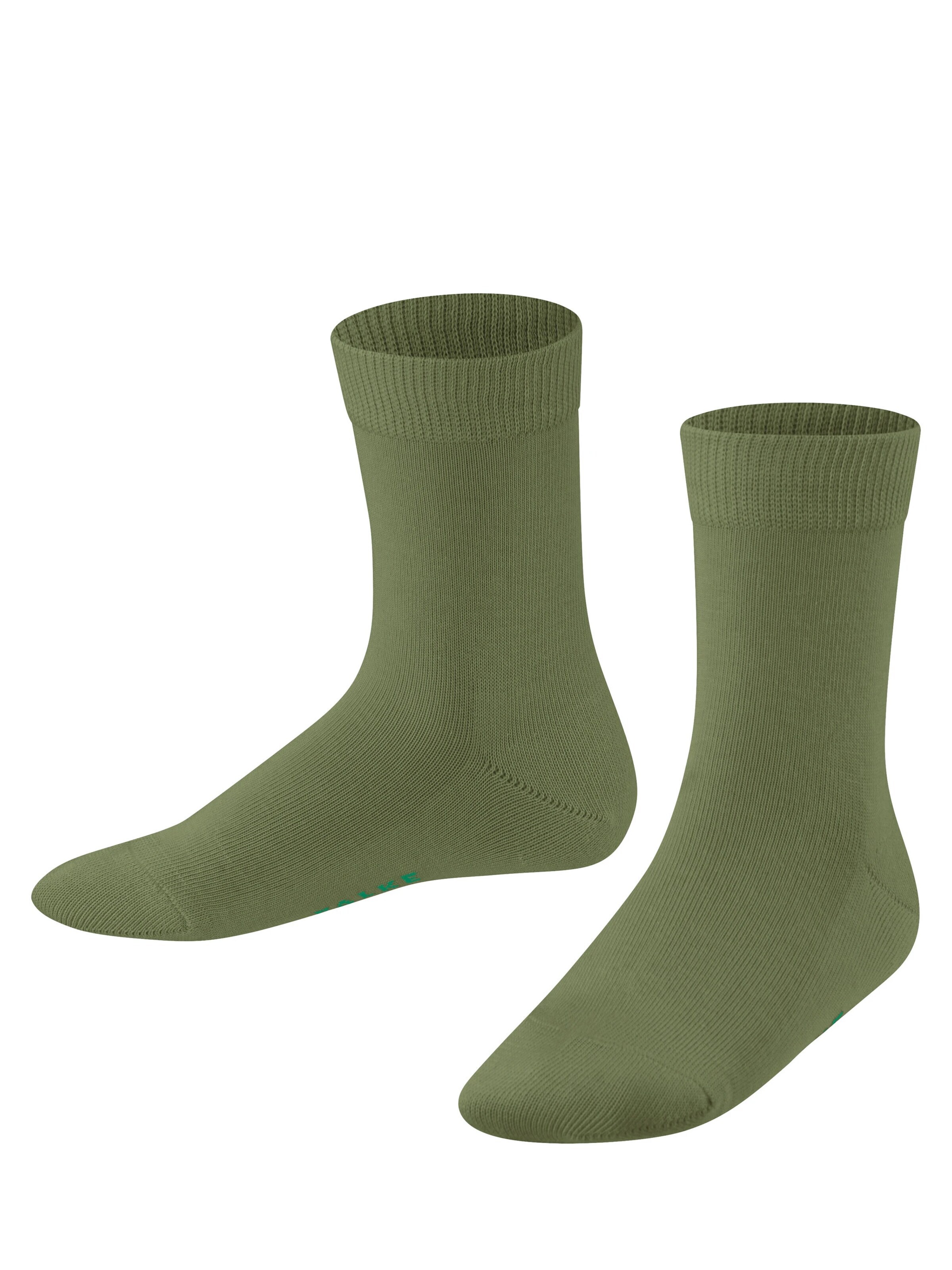 FALKE Socks 'Family' in Green: front