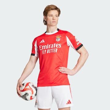 ADIDAS PERFORMANCE - Camiseta de fútbol 'Benfica 25/26' en rojo: frente