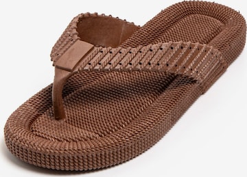 Claquettes / Tongs 'Sandito' Brasileras en marron : devant