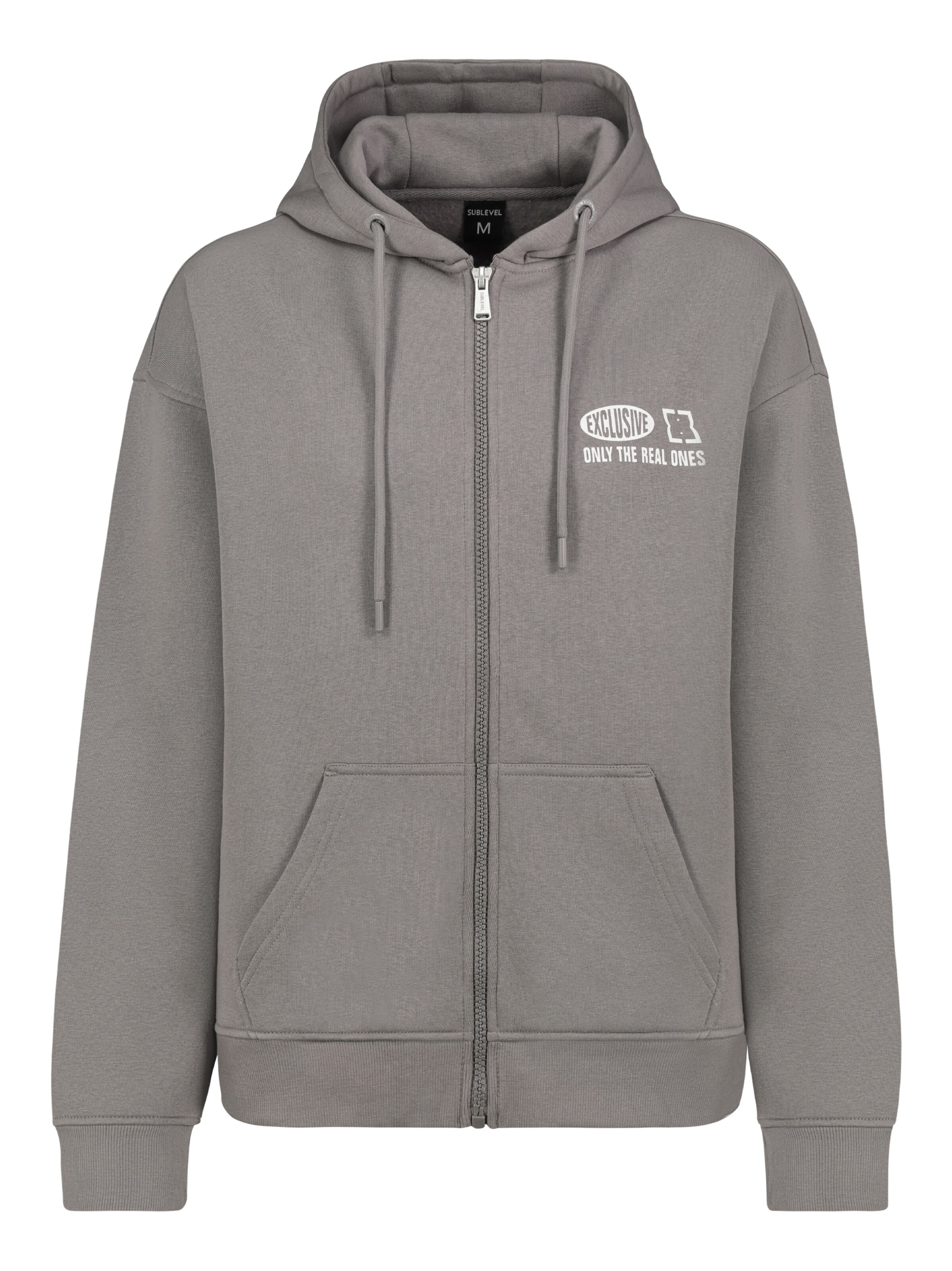 Sublevel Zip-Up Hoodie in Grey: front
