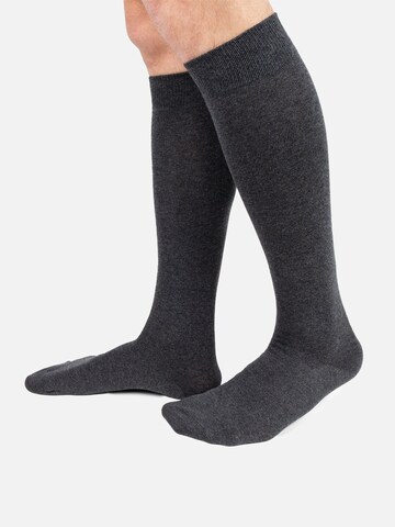 Ciocca Knee socks in Grey
