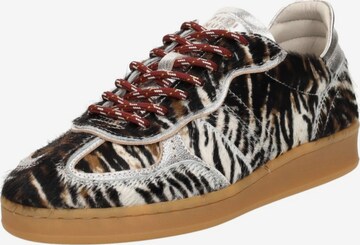 Baskets basses 'Imola' Piedi Nudi en marron : devant