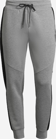 AÉROPOSTALE Tapered Broek in Grijs: voorkant