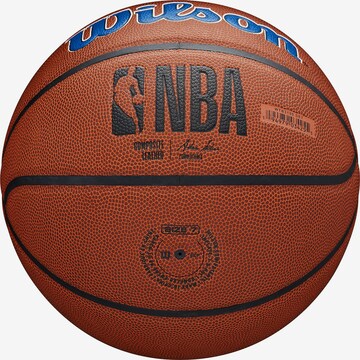 Balle 'NBA Team Alliance Detroit Pistons' WILSON en marron