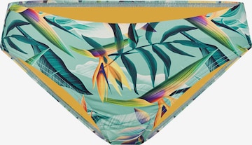 Marc & André Bikini Bottoms 'Fresh Tropics' in Green: front