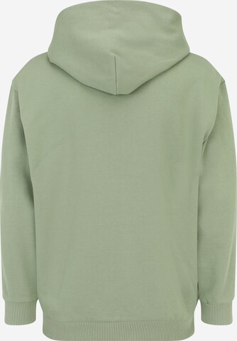 OAKLEY Sport sweatshirt 'SOHO' i grön