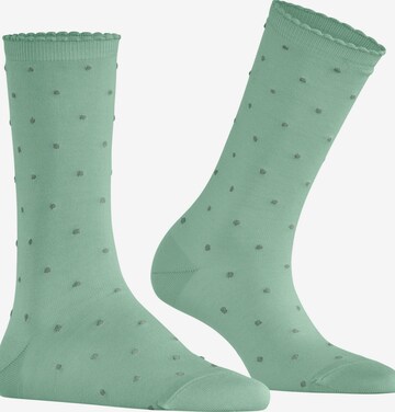 FALKE Socks 'Spike Dot' in Green: front