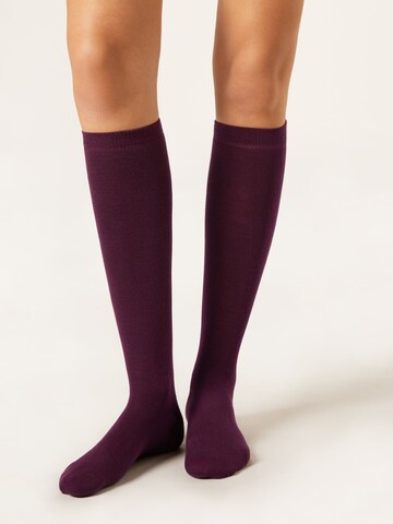 CALZEDONIA Socken in Rot