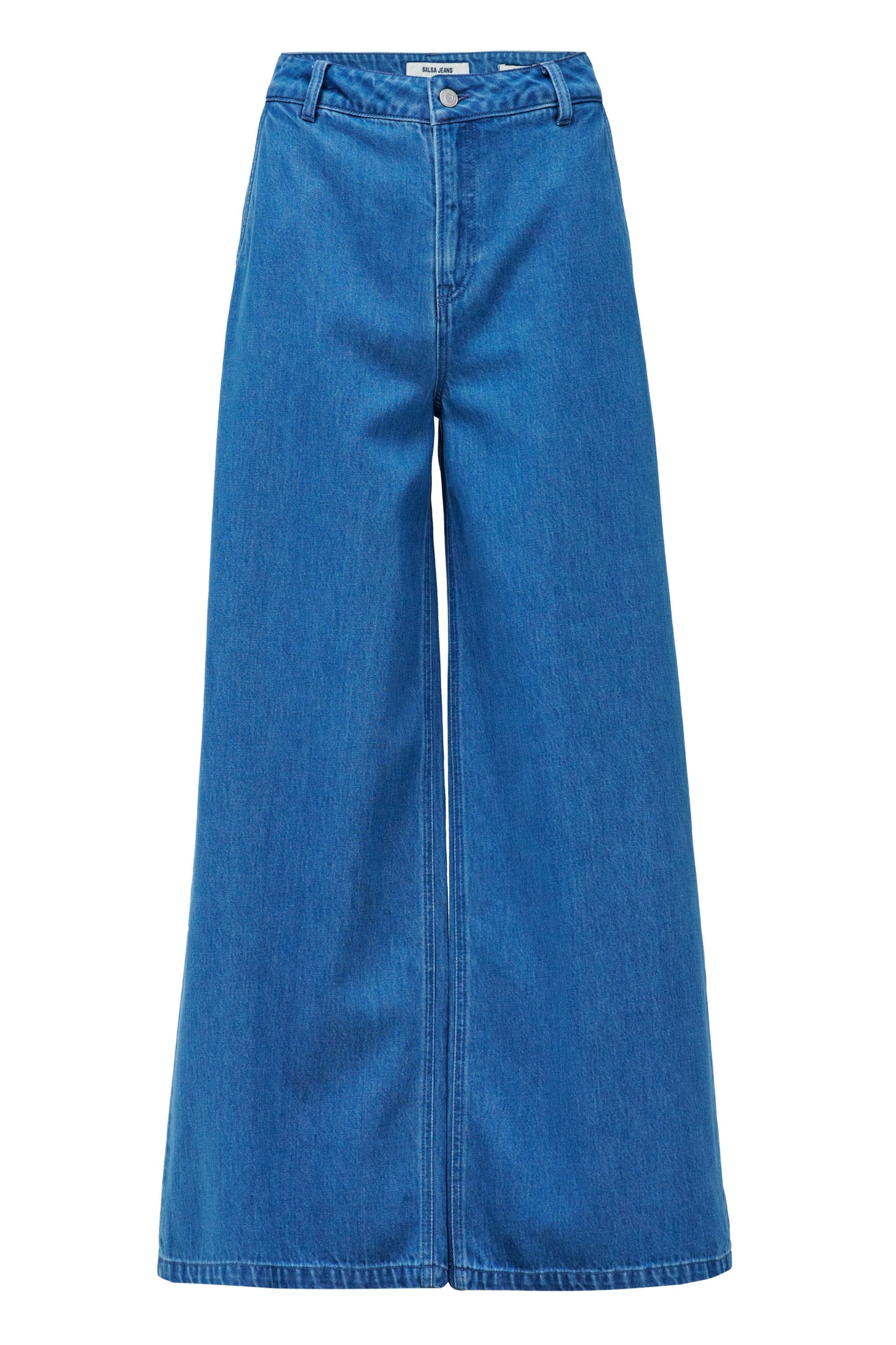 Salsa Jeans Regular Chino trousers in Blue: front