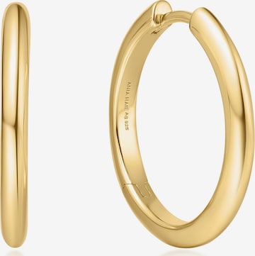 ANIA HAIE Ohrringe in Gold: Vorderseite