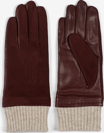 Gants 'Women's Leather Gloves Leah Brown' Howard London en marron : devant