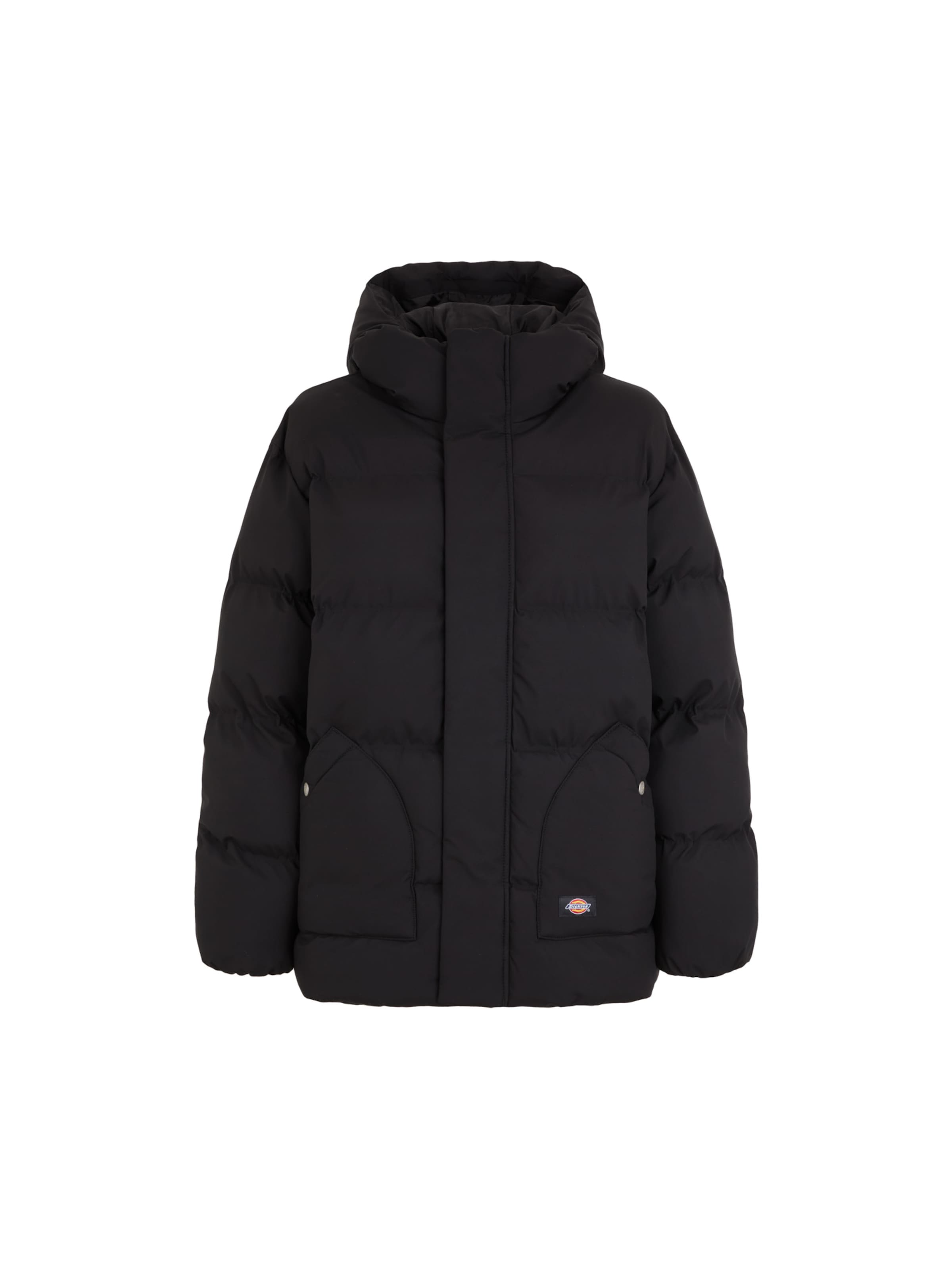 DICKIES Winter jacket in Black: front