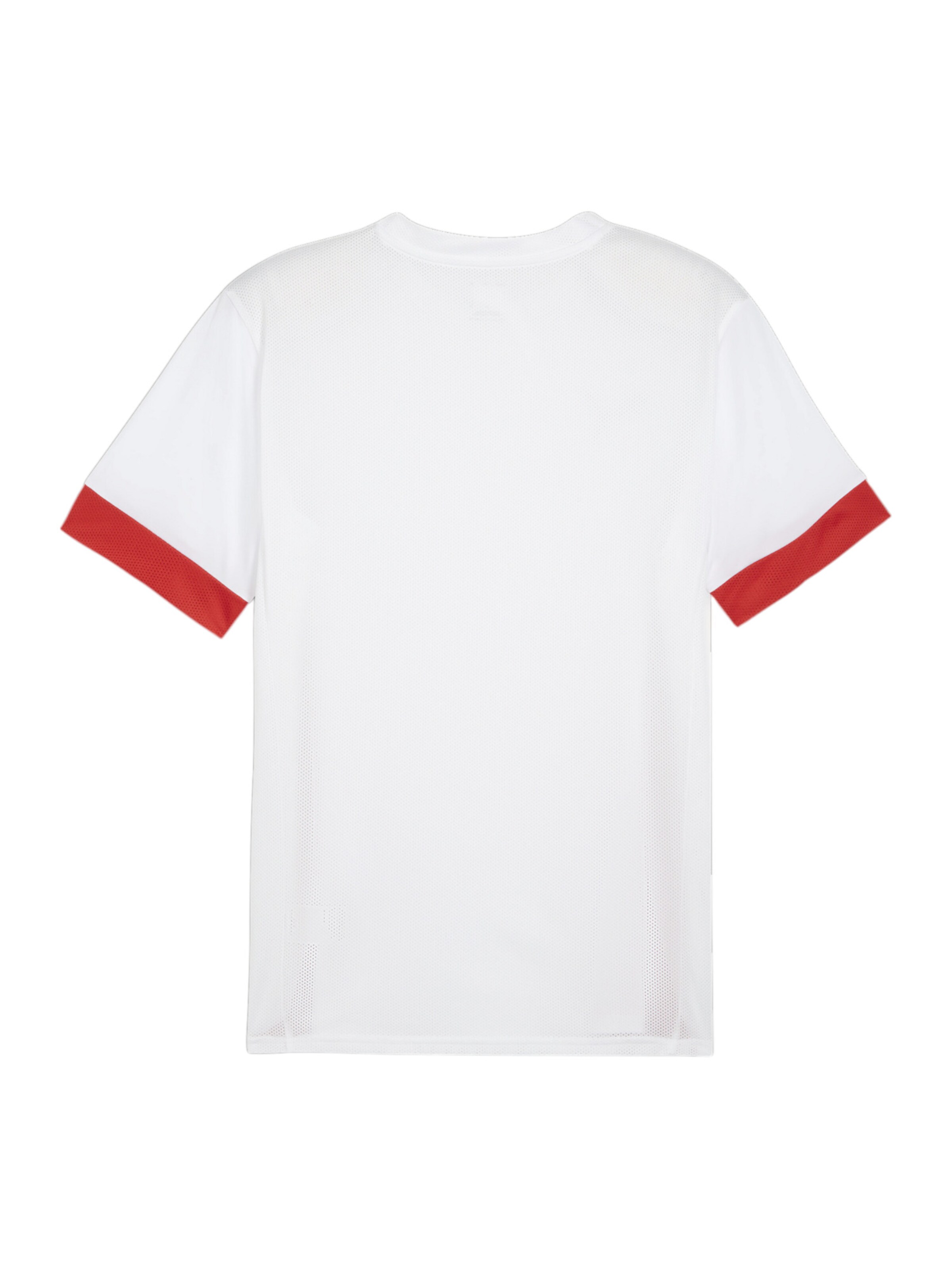 PUMA Trikot 'TeamGoal Matchday' in Weiß