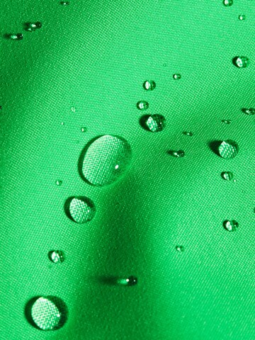 MAMMUT Outdoor Jacket 'Linard Light' in Green