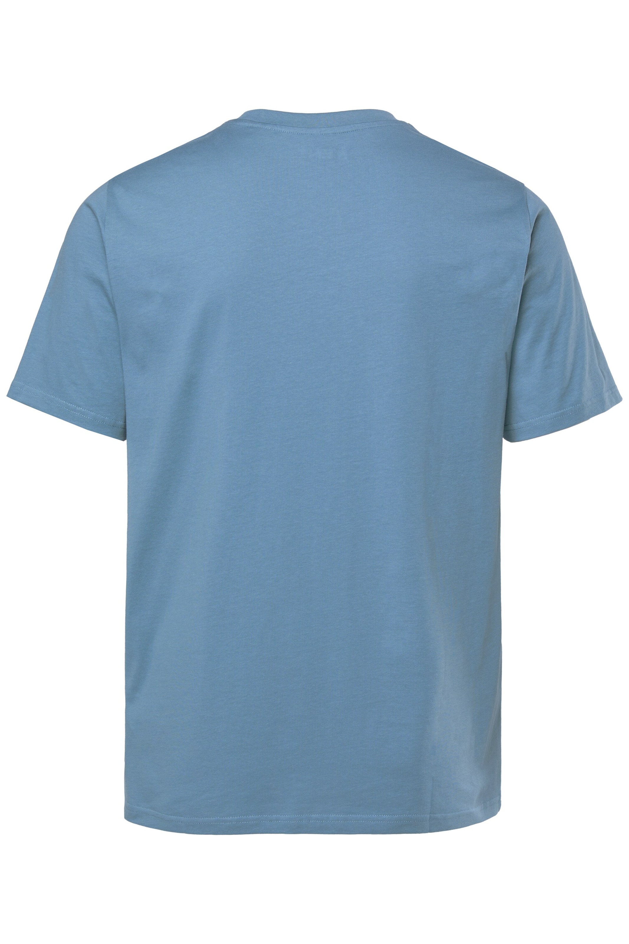 Men Plus Shirt in Blue