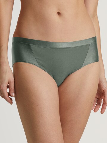 CALIDA Boyshorts in Green