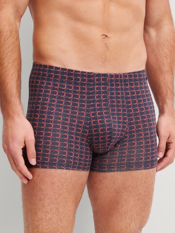 CALIDA Boxer shorts 'Grafic Cotton' in Grey