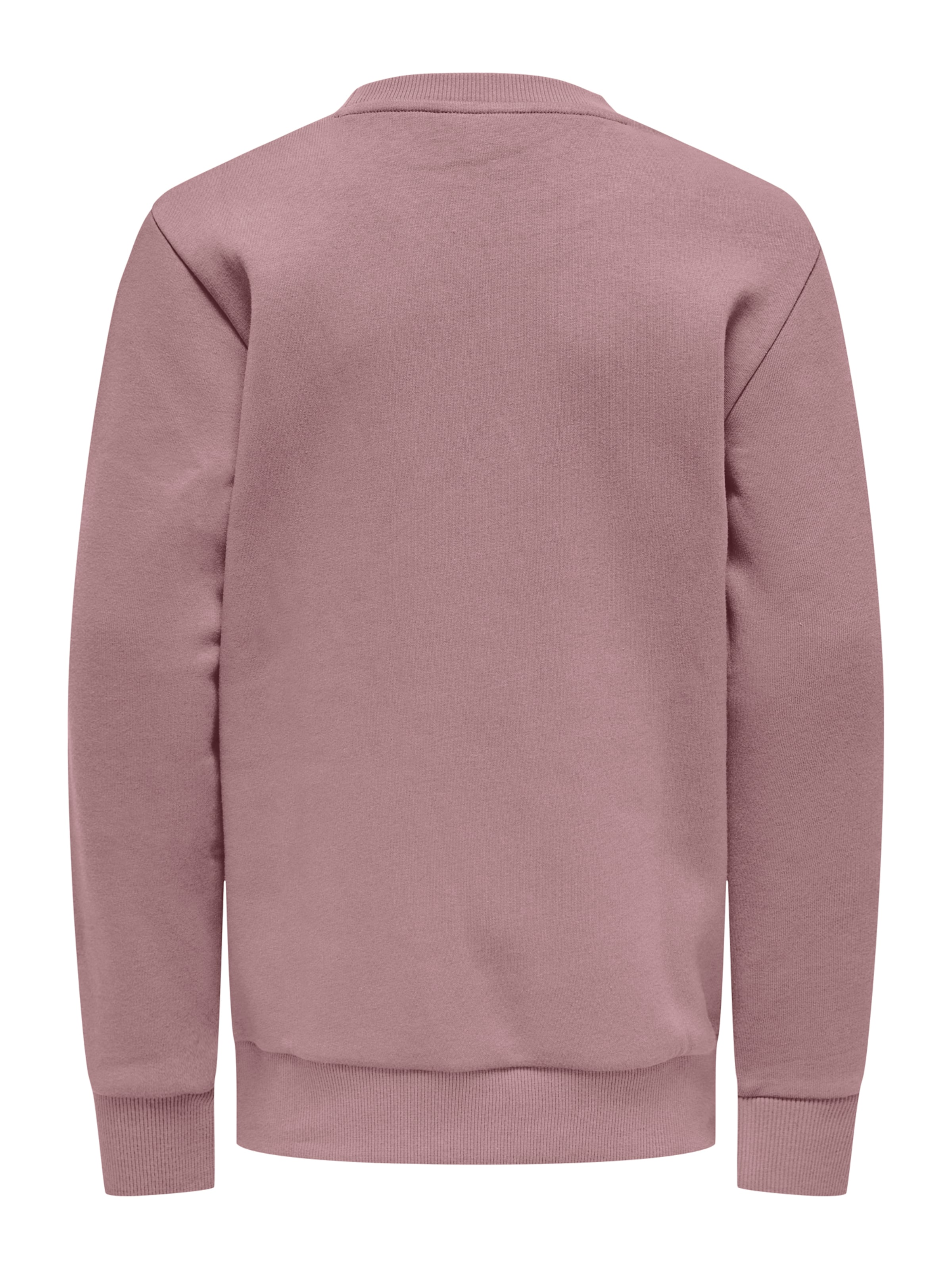 Only & Sons Junior Sweatshirt 'OSJCERES' i rosa