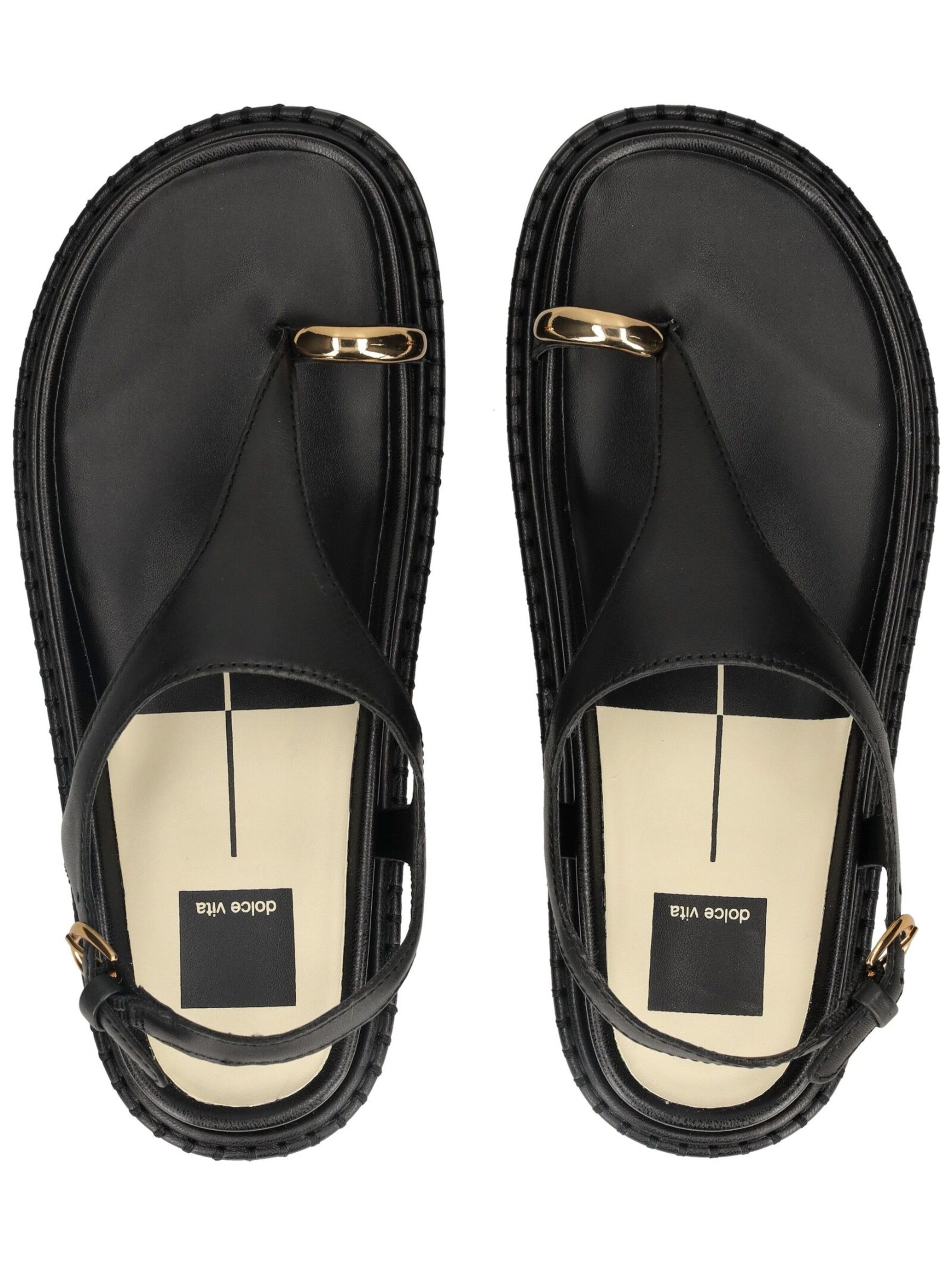 Dolce Vita Zehentrenner in Schwarz