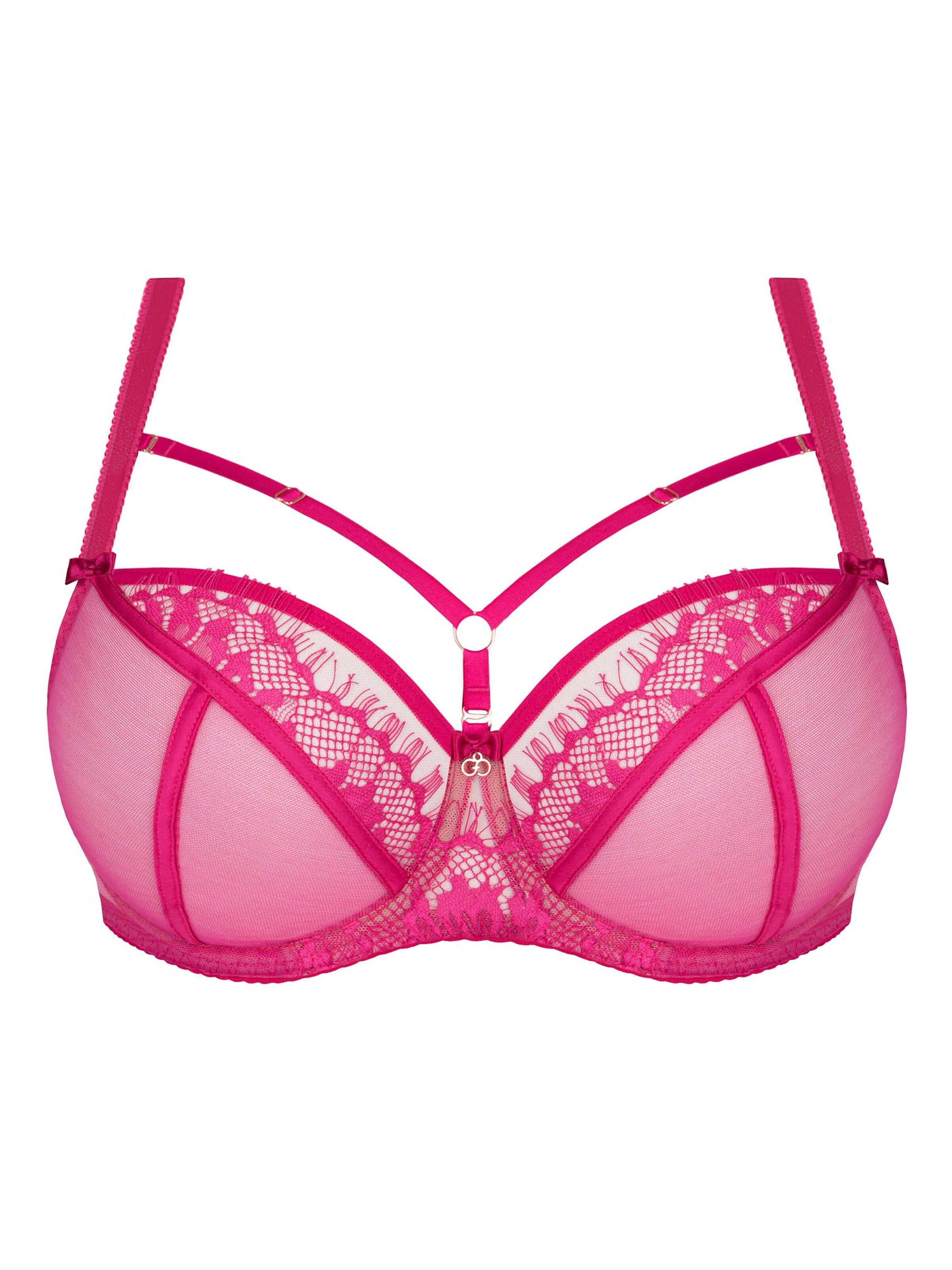 Gorsenia BH 'K496 Paradise' in Roze: voorkant