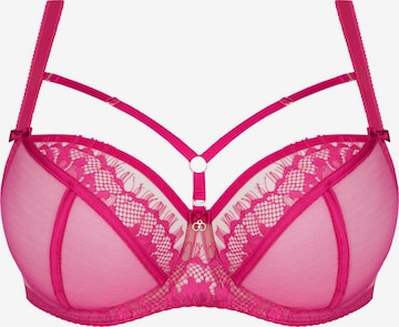 Gorsenia BH 'K496 Paradise' in Roze: voorkant