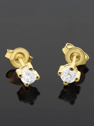 Tony Fein Earrings 'Eleganz' in Gold