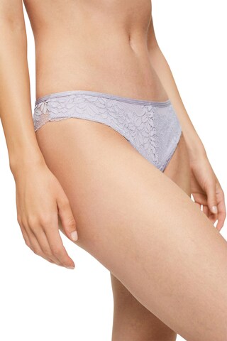 ESPRIT Panty in Purple