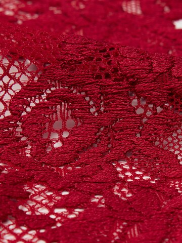 INTIMISSIMI Garter Belt in Red